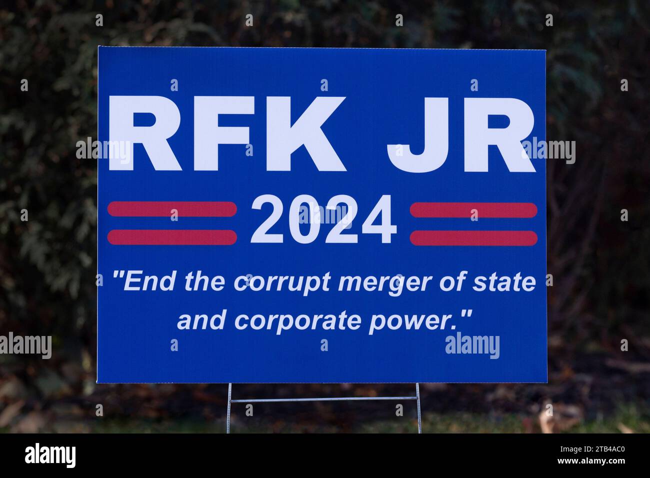 2025 United States presidential election campaign yard sign for