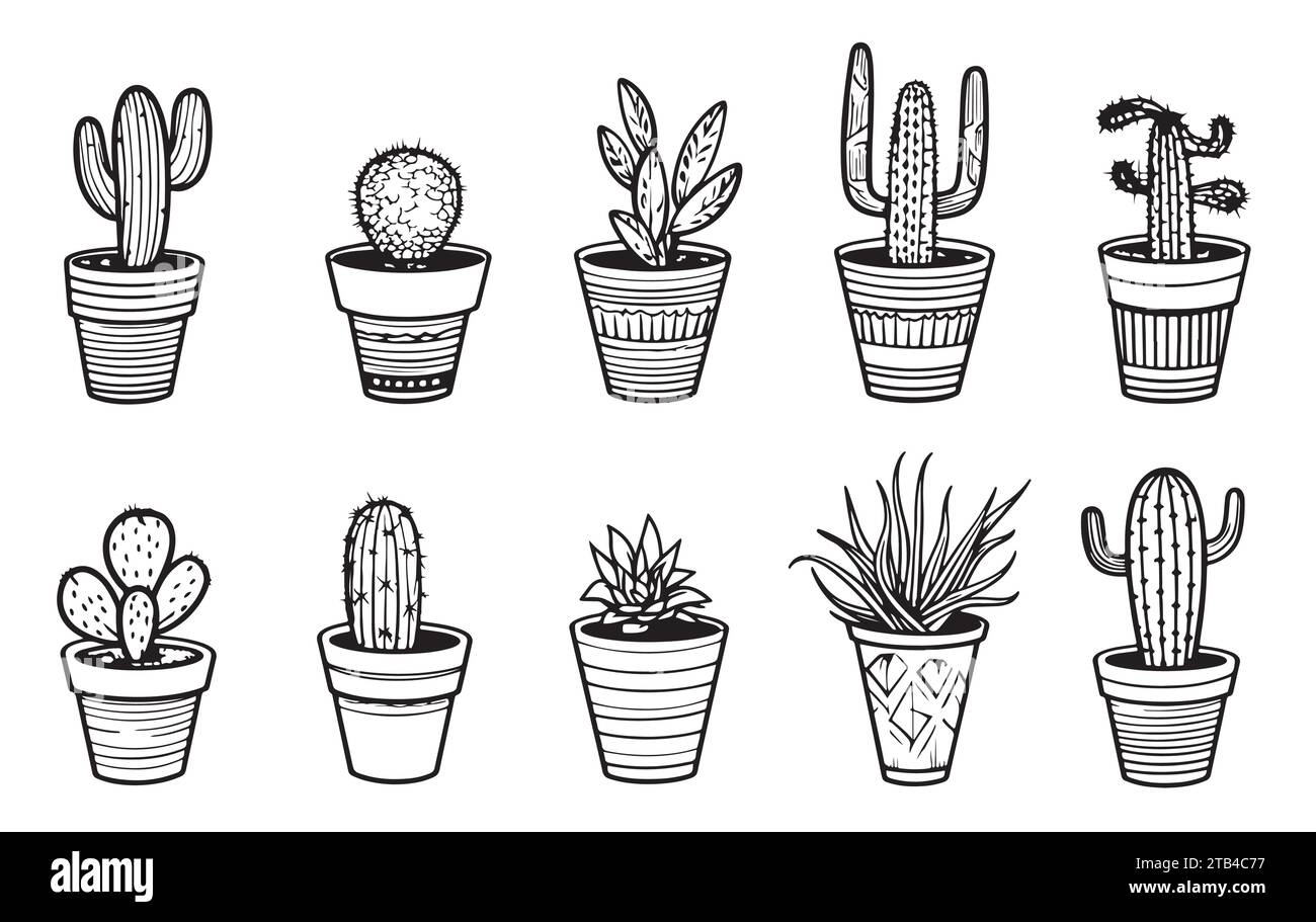 Set of cactus in pots vector illustrations in cute doodle style isolated on white background Vector illustration Stock Vector