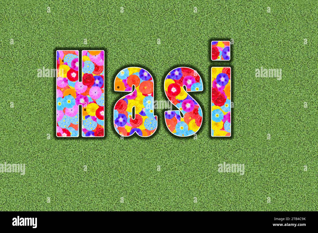 Hasi, one of the most popular pet names in Germany between lovers Stock