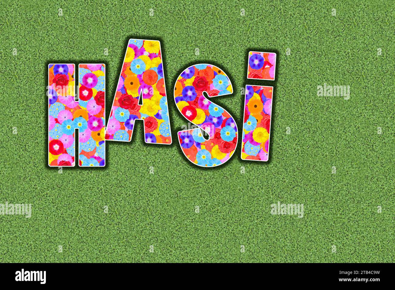 Hasi, one of the most popular pet names in Germany between lovers Stock