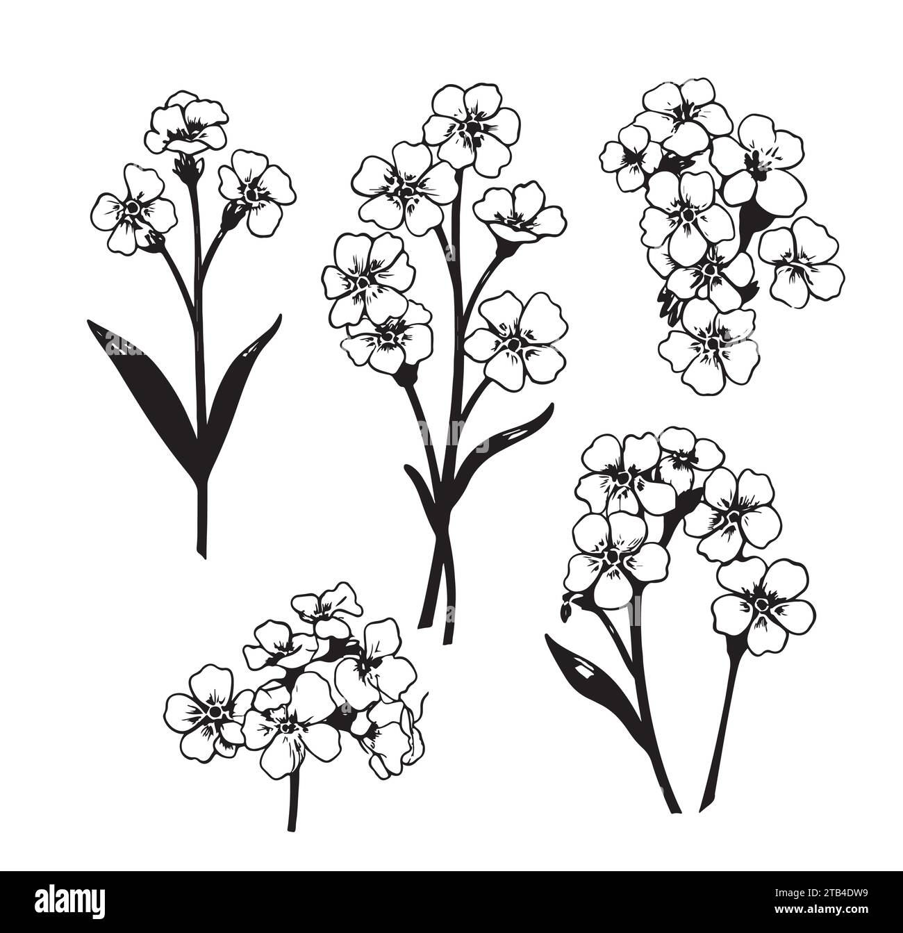 flowers vector illustration isolated on white background