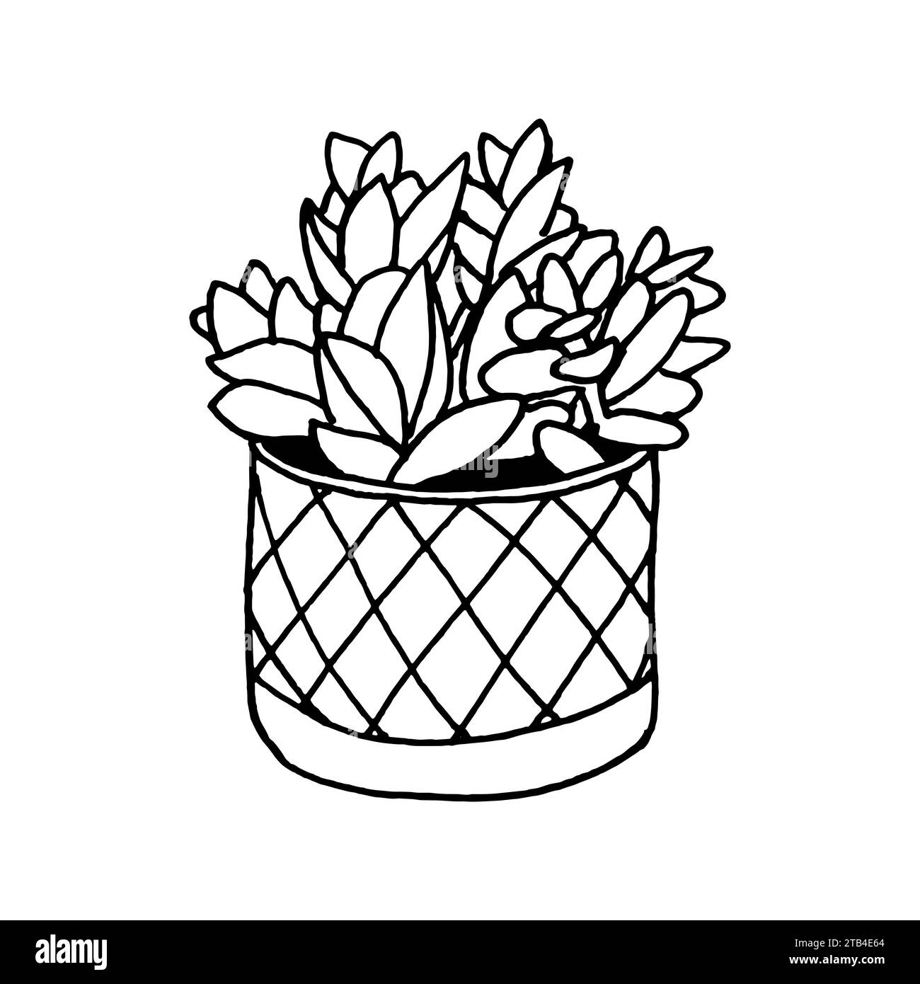 Interior Flower In Pot Indoor Home Plant Vector Illustration Potted interior-flower-in-pot-indoor-home-plant-vector-illustration-potted