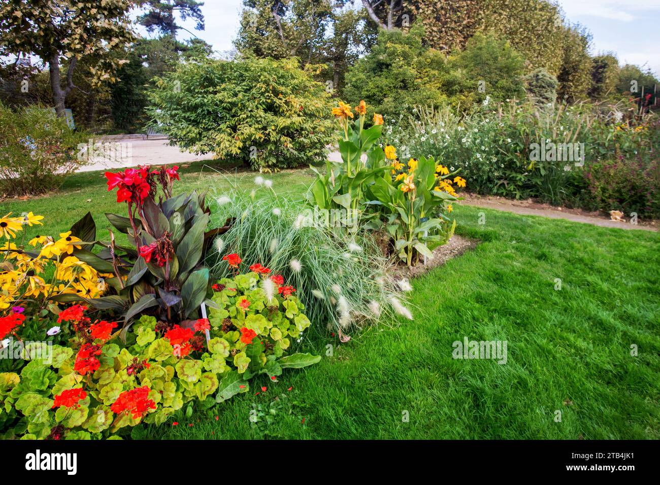 Canna sylvestris hi-res stock photography and images - Alamy