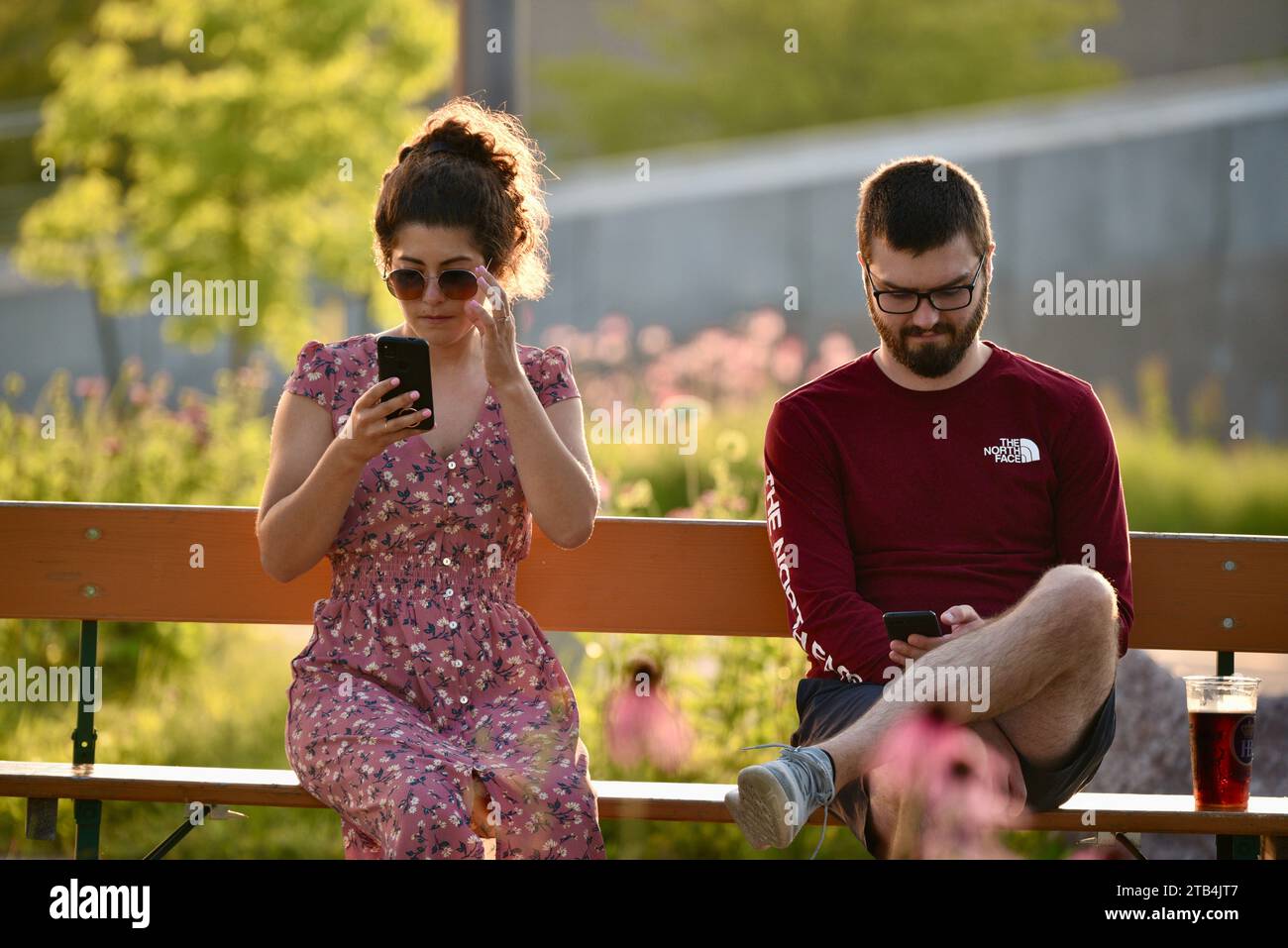 Attractive young woman checking her mobile cell phone while sitting in a park with her partner with beer at sunset, downtown Milwaukee, Wisconsin, USA Stock Photo