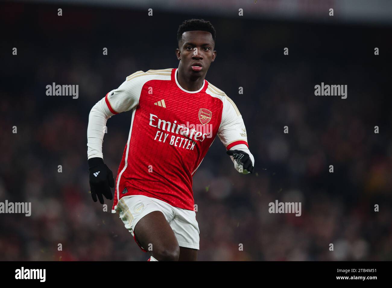 LONDON, UK - 2nd Dec 2023:  Eddie Nketiah of Arsenal looks on during the Premier League match between Arsenal and Wolverhampton Wanderers at Emirates Stock Photo