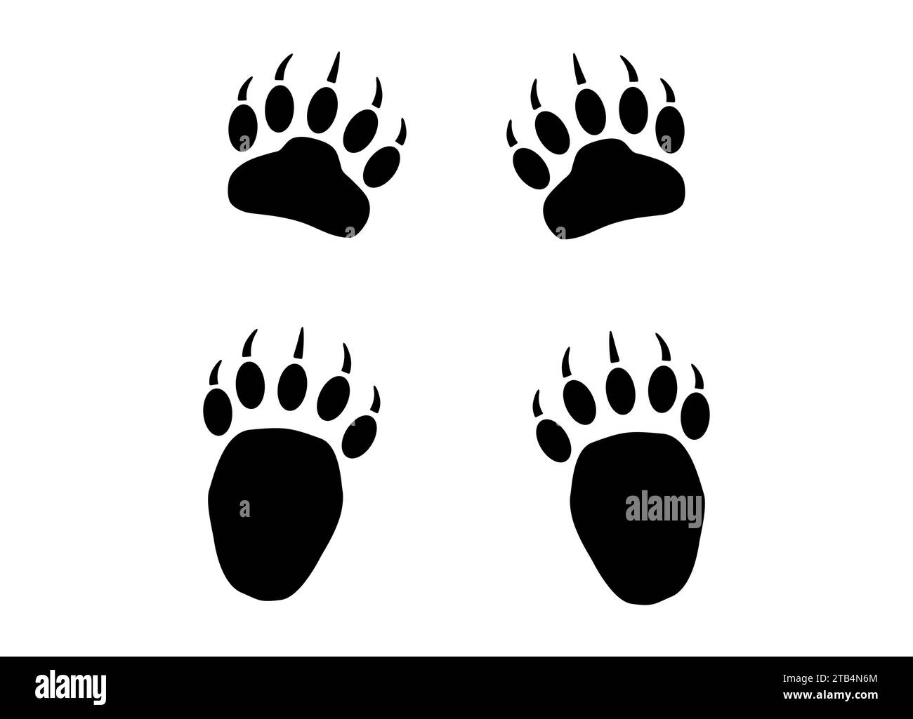 Bear or panda furry paw footprint with claws. Silhouette, contour. Icon
