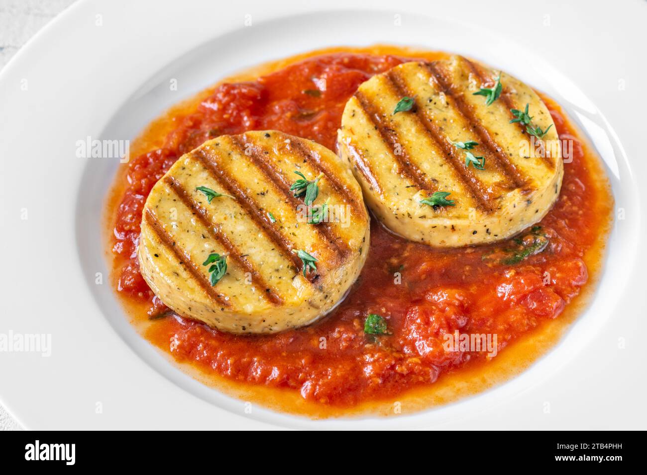 Portion of grilled cheese with tomato basil sauce Stock Photo