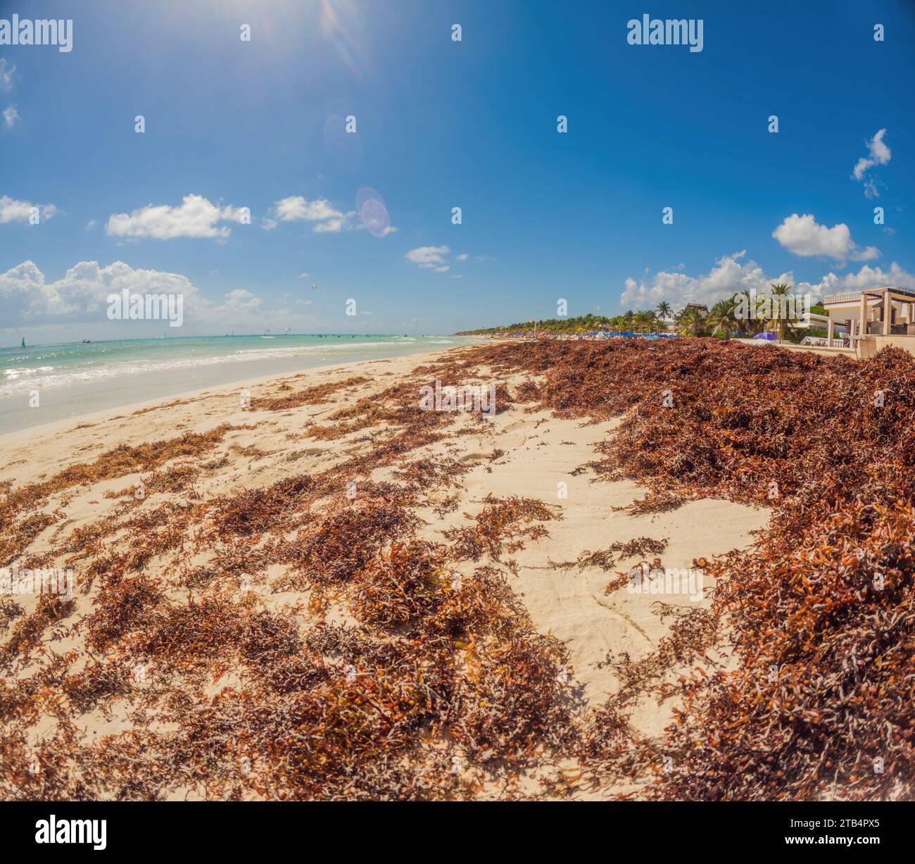 The beautiful Caribbean beach totally filthy and dirty the nasty ...