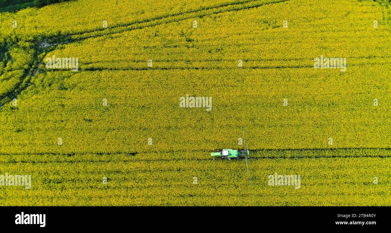 Corn field aerial weed hi-res stock photography and images - Alamy