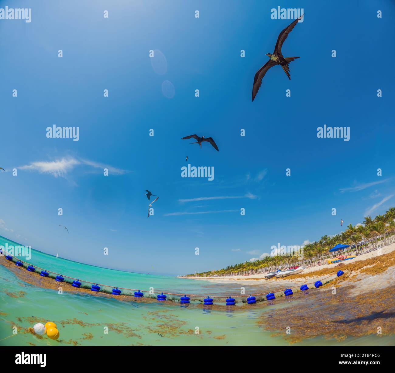 The beautiful Caribbean beach totally filthy and dirty the nasty ...