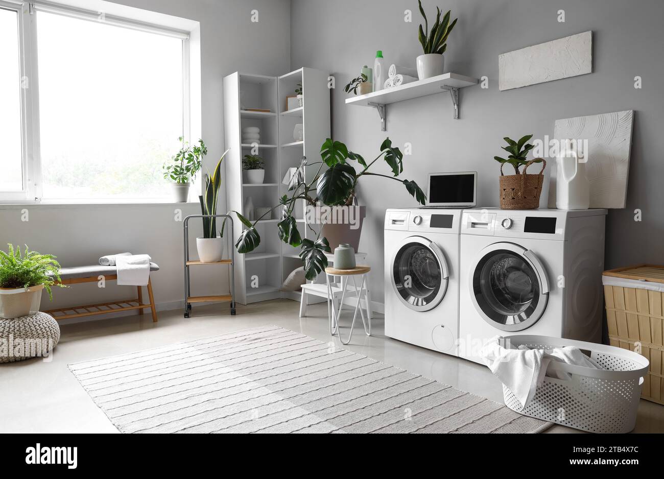 Interior of laundry room with washing machines, houseplants and laptop Stock Photo