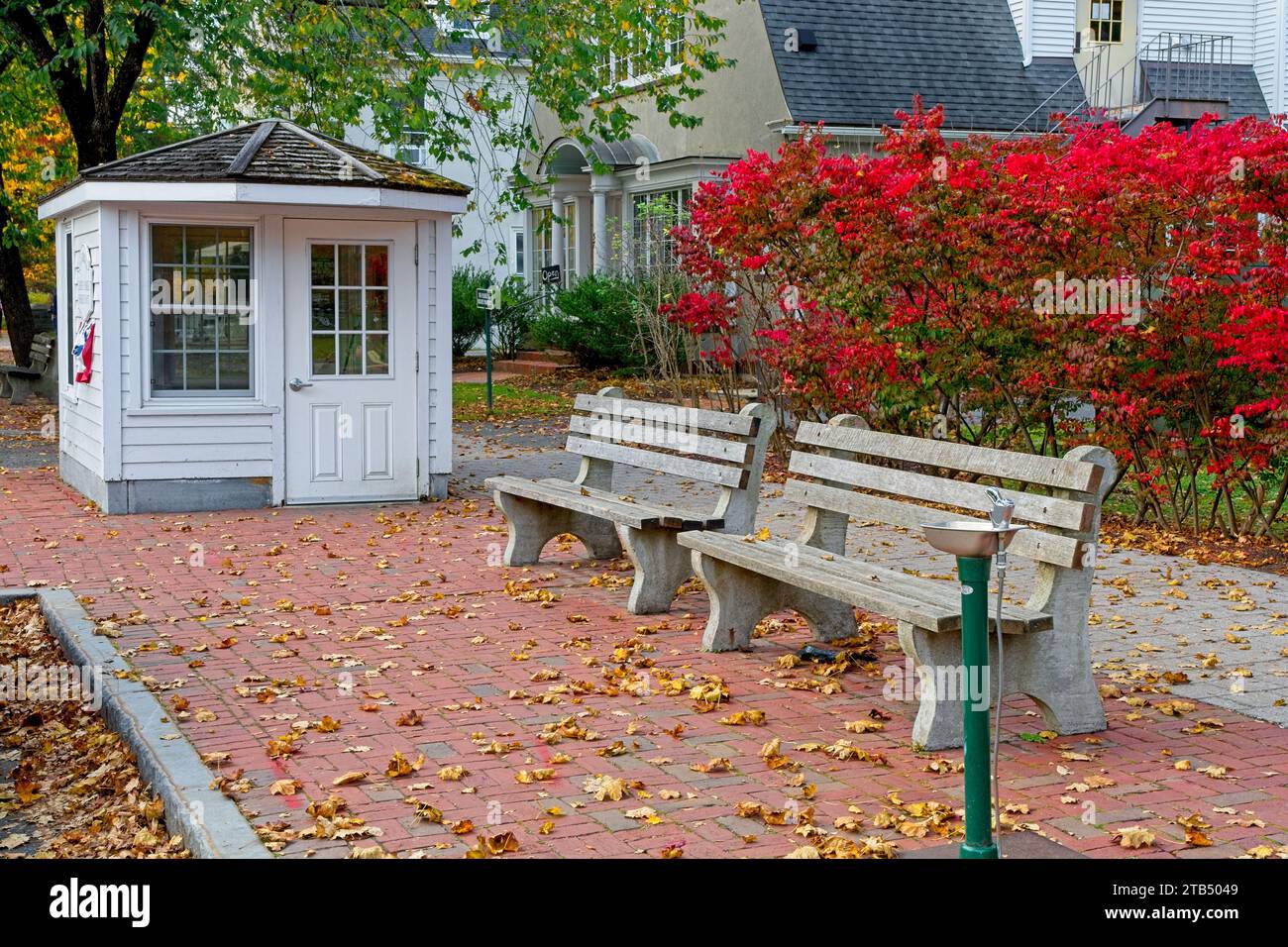 Park benches water fountain on brick sidewalk at bus stop before bright