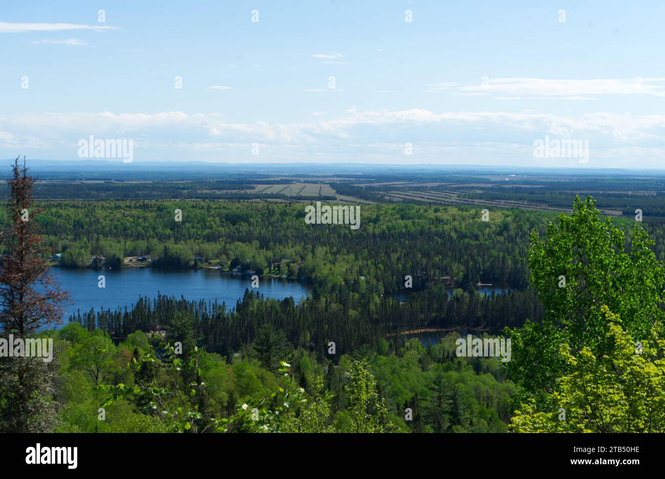 Lac Brochet, Falardeau, Saguenay, Québec, Canada, Panoramic view