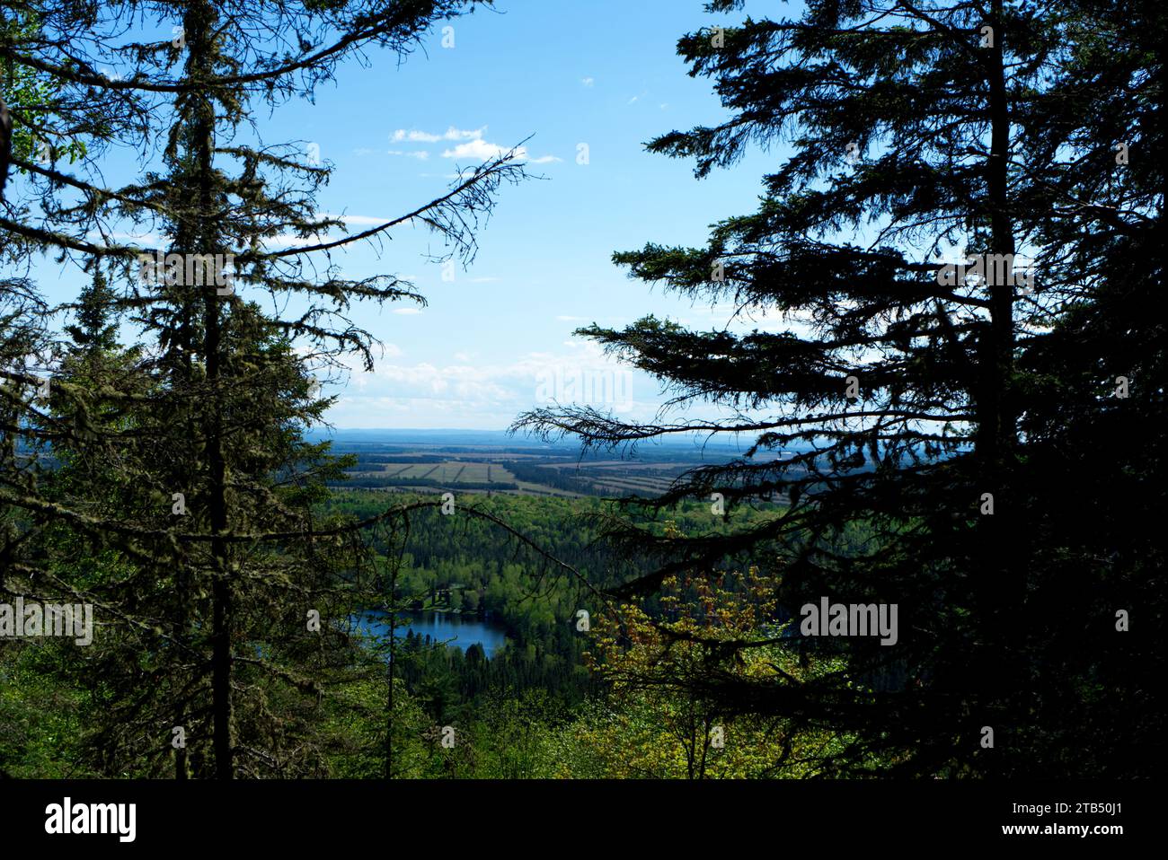 Marc boreal hires stock photography and images Alamy