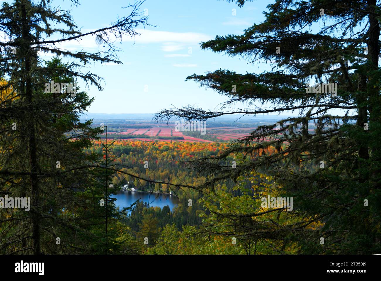 Lac Brochet, Falardeau, Saguenay, Québec, Canada, Panoramic view