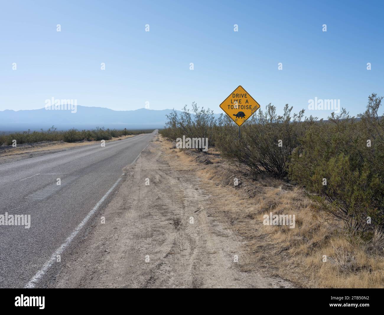 Drive Like A Tortoise, Road Sign, Mojave National Preserve, California Stock Photo