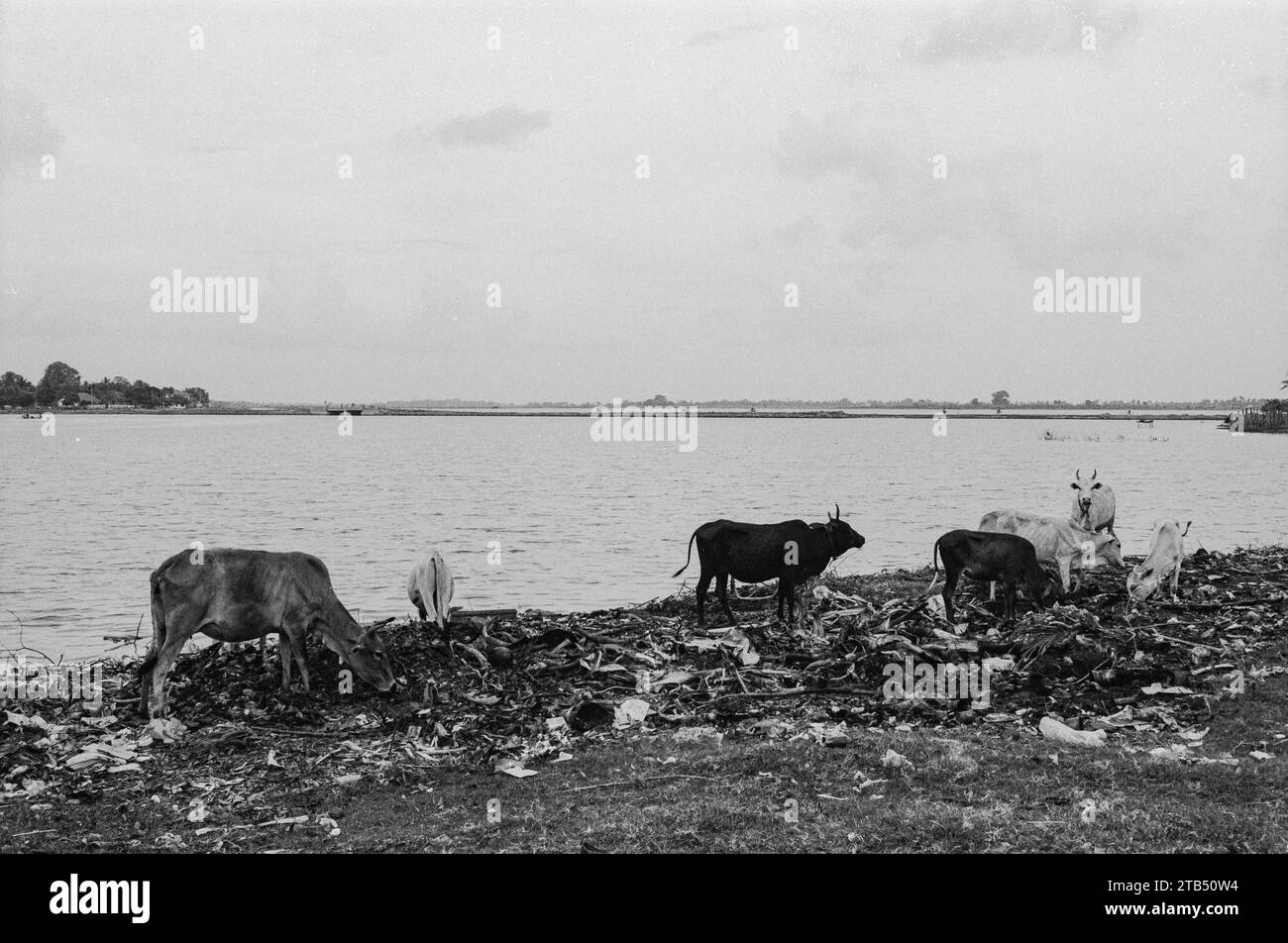 The Liberation Tigers of Tamil Eelam LTTE fought to create an