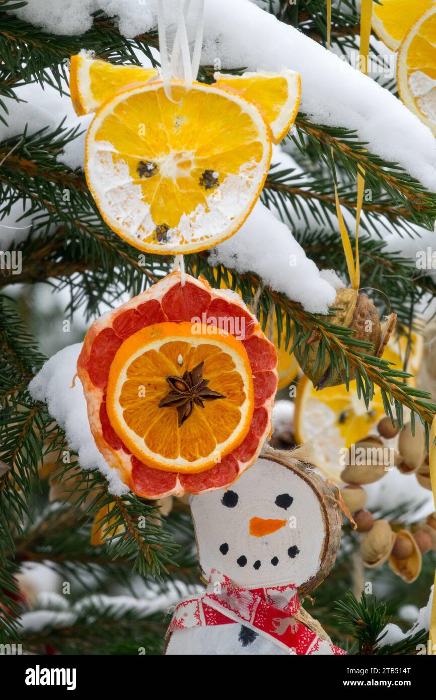 Round slice of oranges, fox, snowman winter snow Christmas decoration hanging on Christmas tree outside in winter Stock Photo