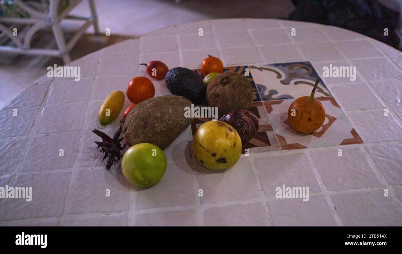 Selection of rare tropical fruits arranged on a table in Samara, Costa Rica Stock Photo