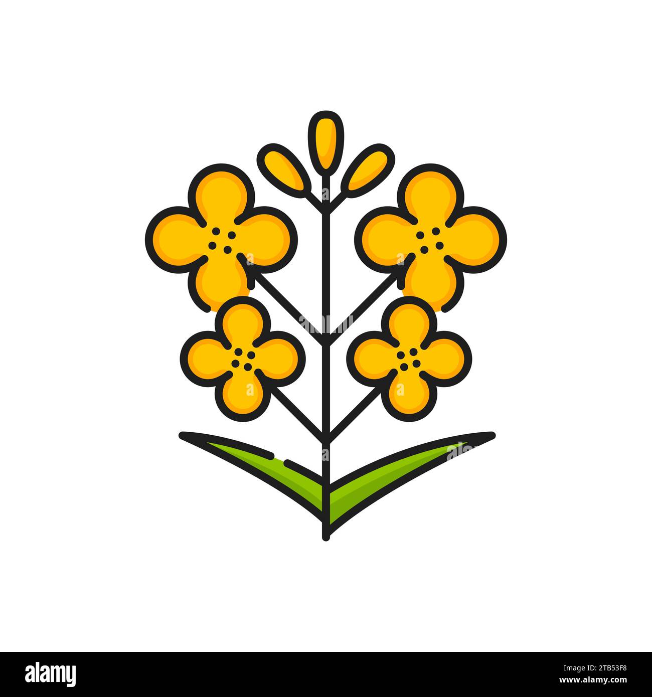 Rapeseed, canola plant icon. Isolated vector linear sign of golden Brassica napus or colza bloom with its distinctive yellow petals, symbolizing its significance in agriculture and oil production Stock Vector