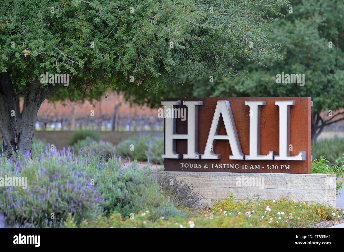 The Hall Wines during a late fall day at the Napa Valley AVA, Saint Helena CA Stock Photo