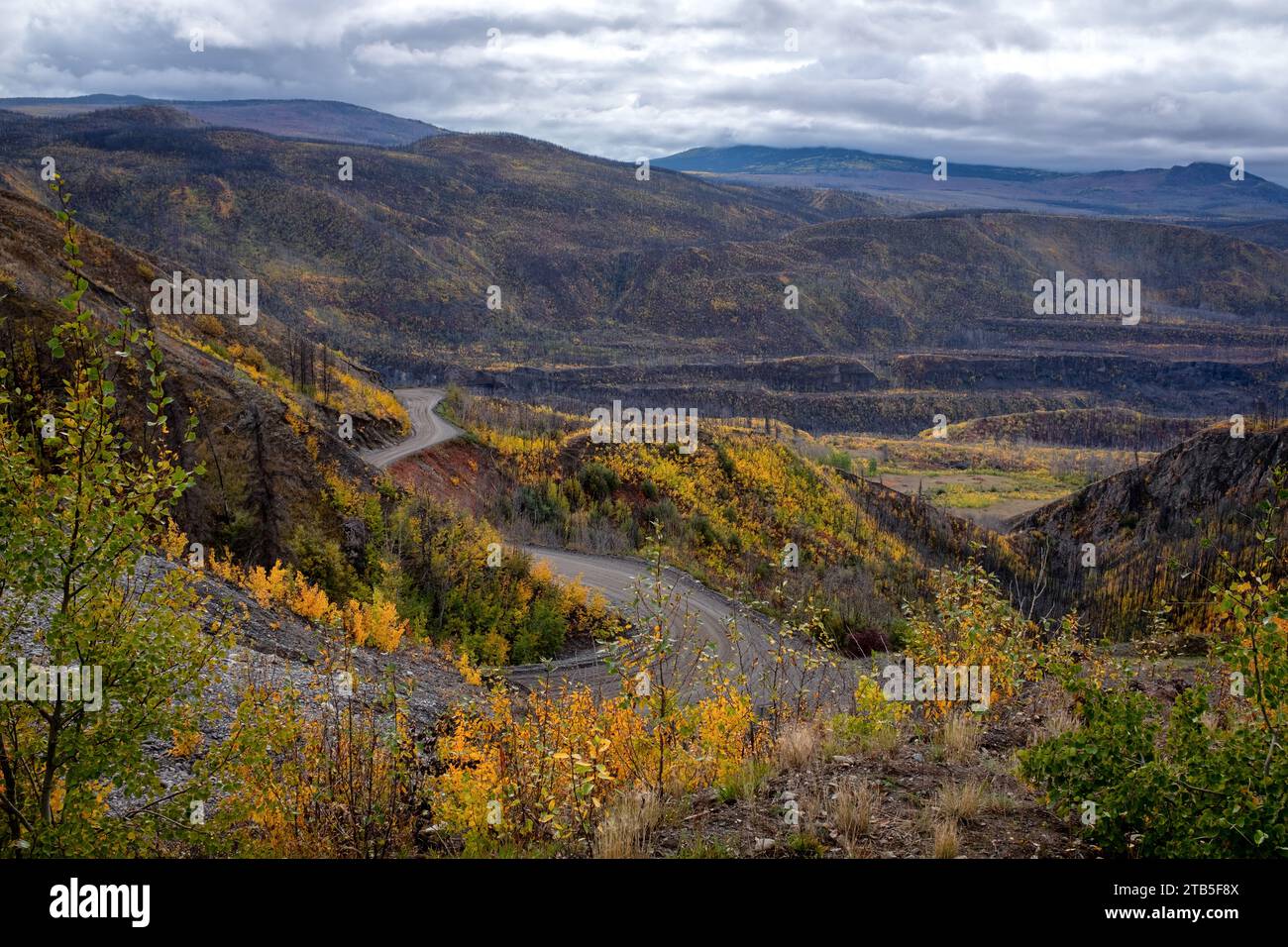Telegraph Creek Road, a narrow steep gravel road through the Stikine River Valley in British Columbia,  autumn 2023 Stock Photo