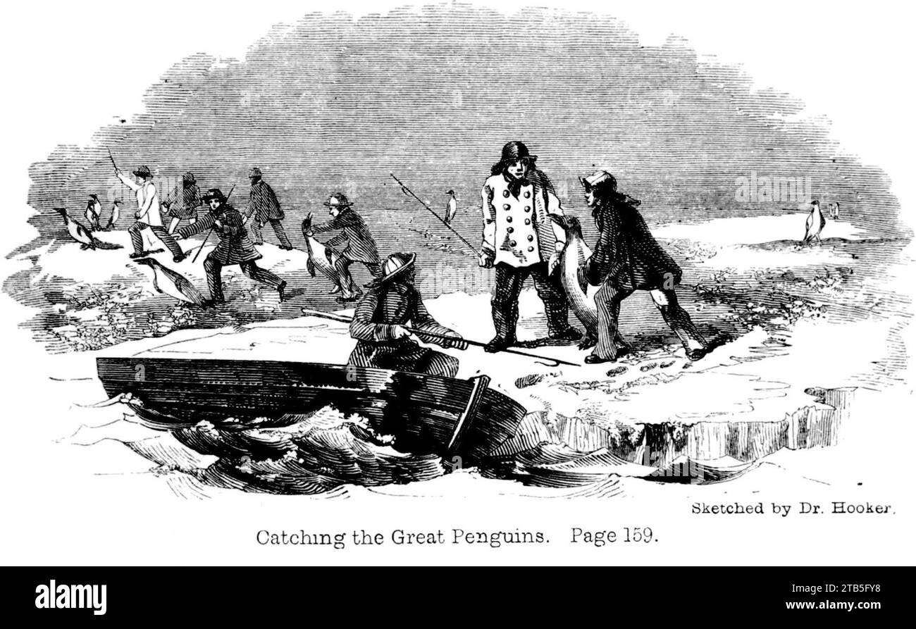 Voyage Southern and Antarctic Regions-2-1847-0005 Stock Photo - Alamy