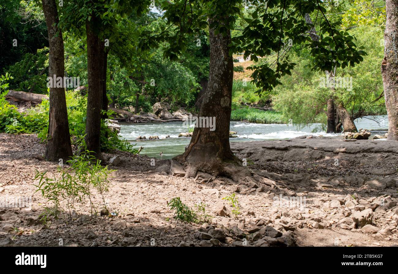 An outdoor scene reminiscent of a small wilderness in Missouri. A display of moving waters, large green trees and barren land. Bokeh. Stock Photo