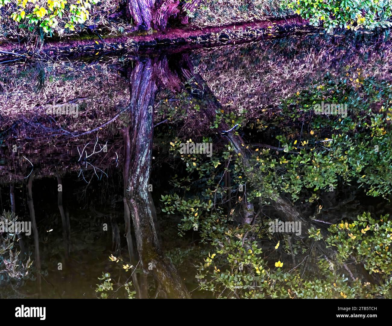 Furuichi kofungun hires stock photography and images Alamy