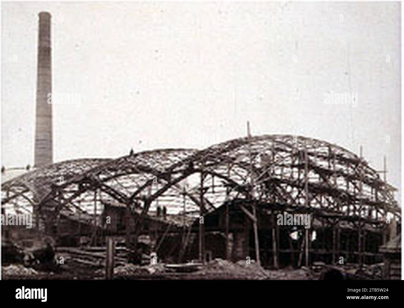 Qora tanlilar siktirishadi va siktiradilar