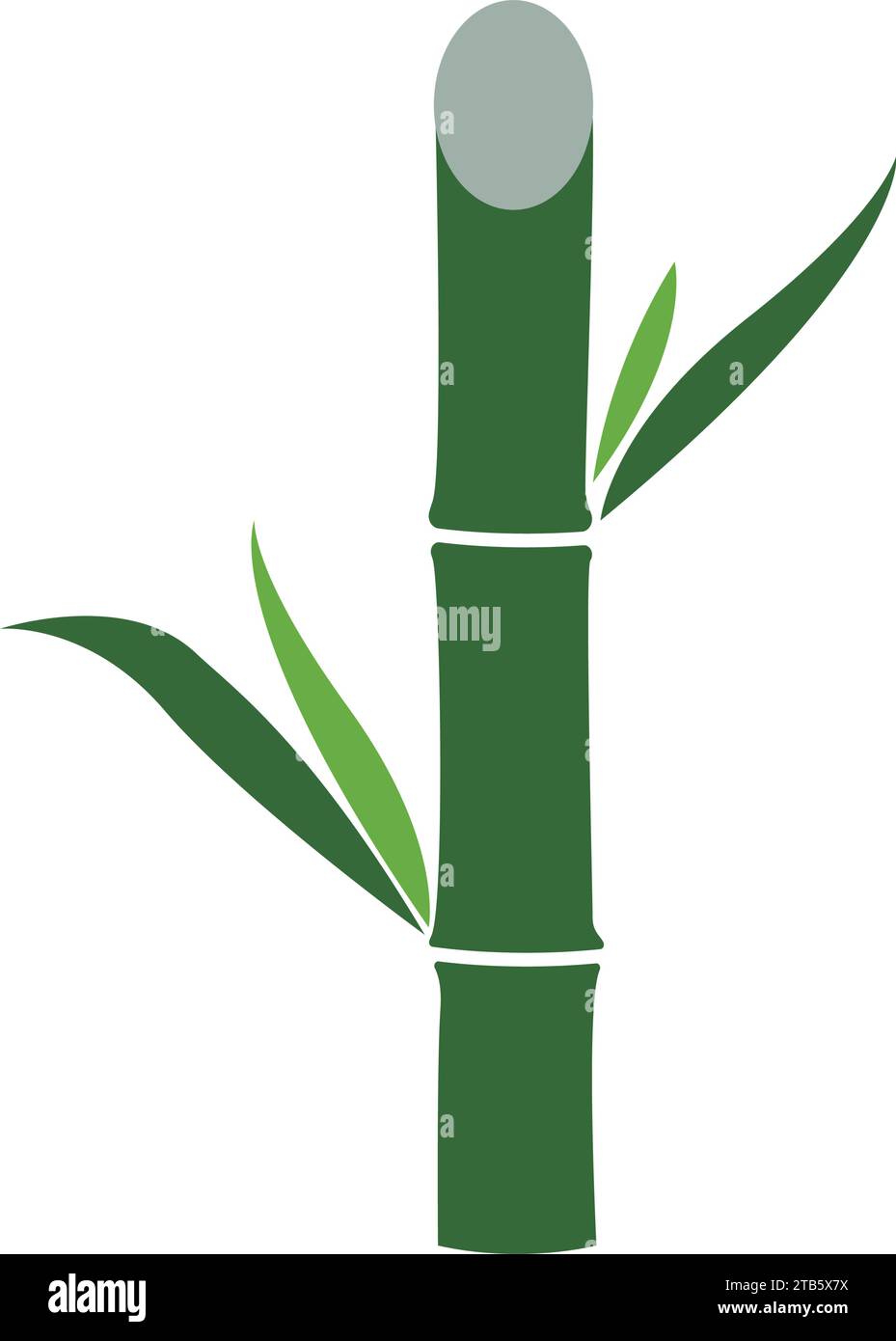 Sugar cane icon Vector Illustration design Logo template Stock Vector