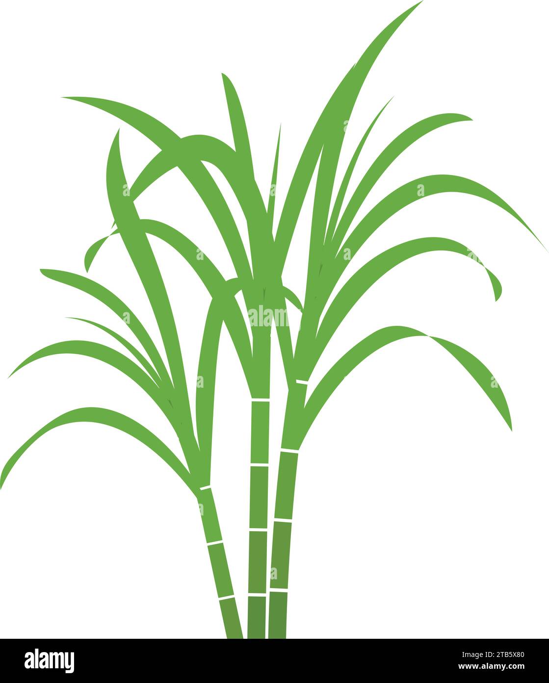 Sugar cane icon Vector Illustration design Logo template Stock Vector