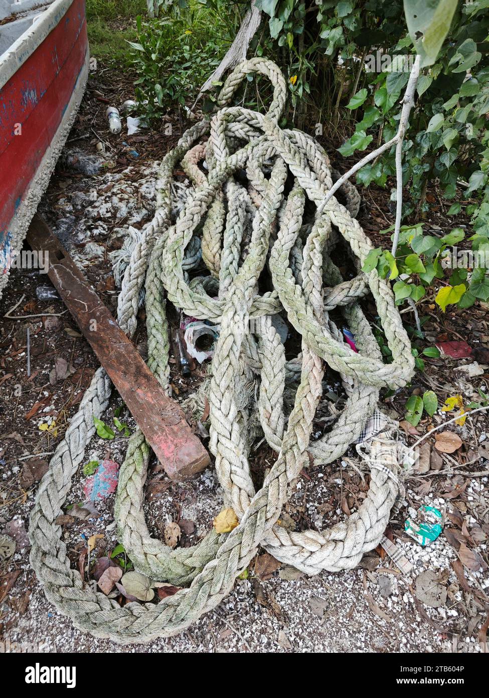 Cable tie chain hi-res stock photography and images - Alamy