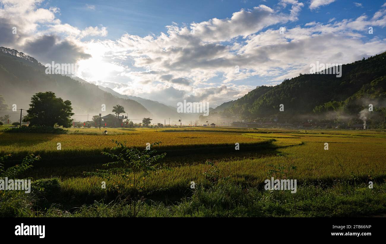 Sunset with fog over the rice fields in the highlands Stock Photo - Alamy