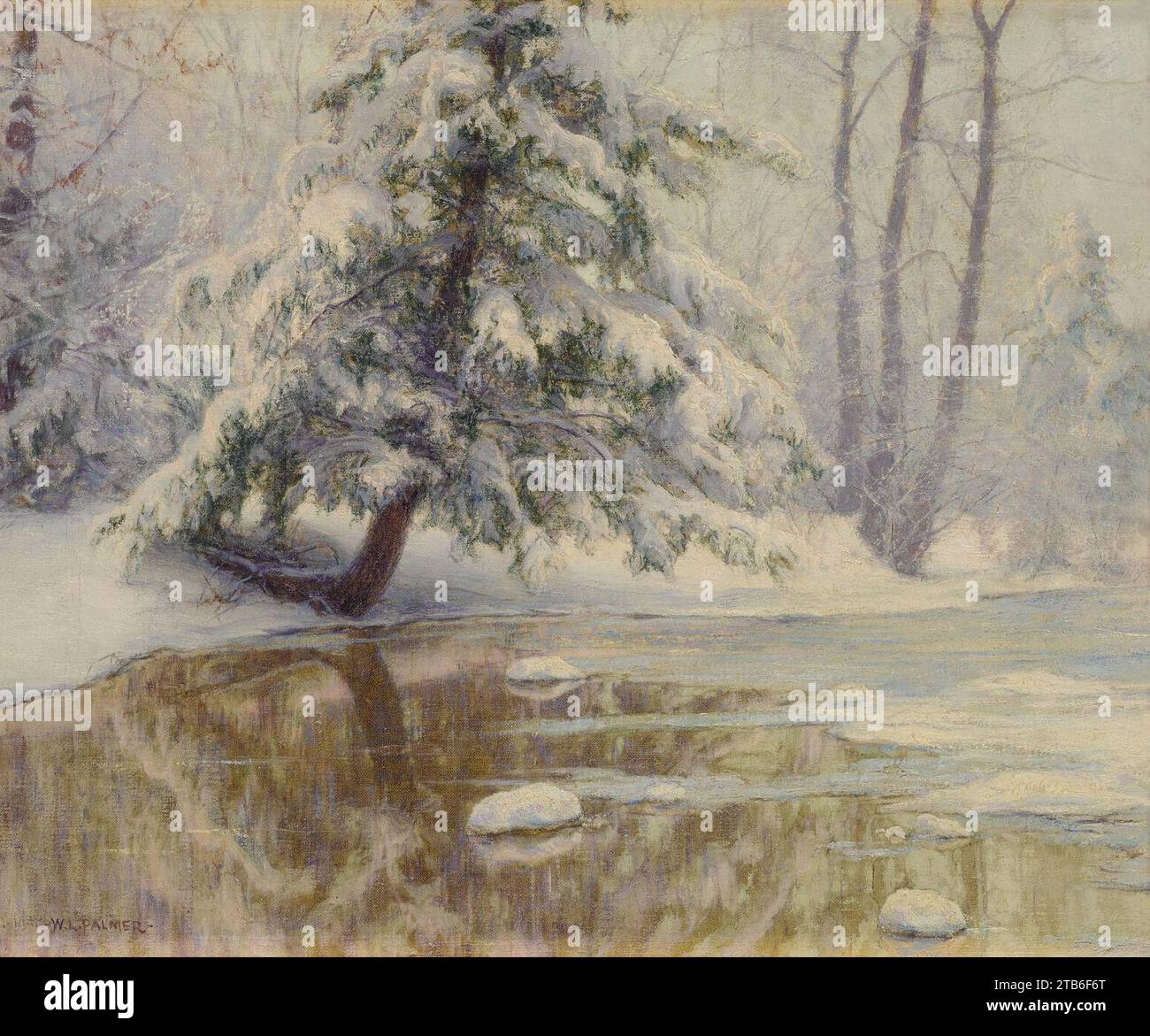 Launt palmer hi-res stock photography and images - Alamy