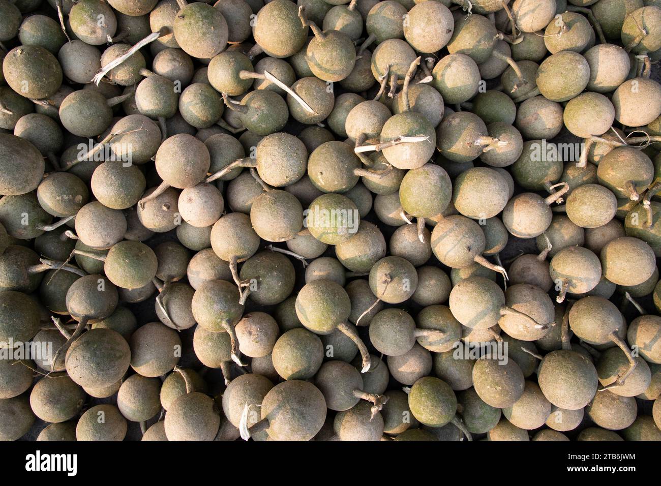 Natural fruits Limonia acidissima Pattern Texture Can be used as a background wallpaper Stock Photo