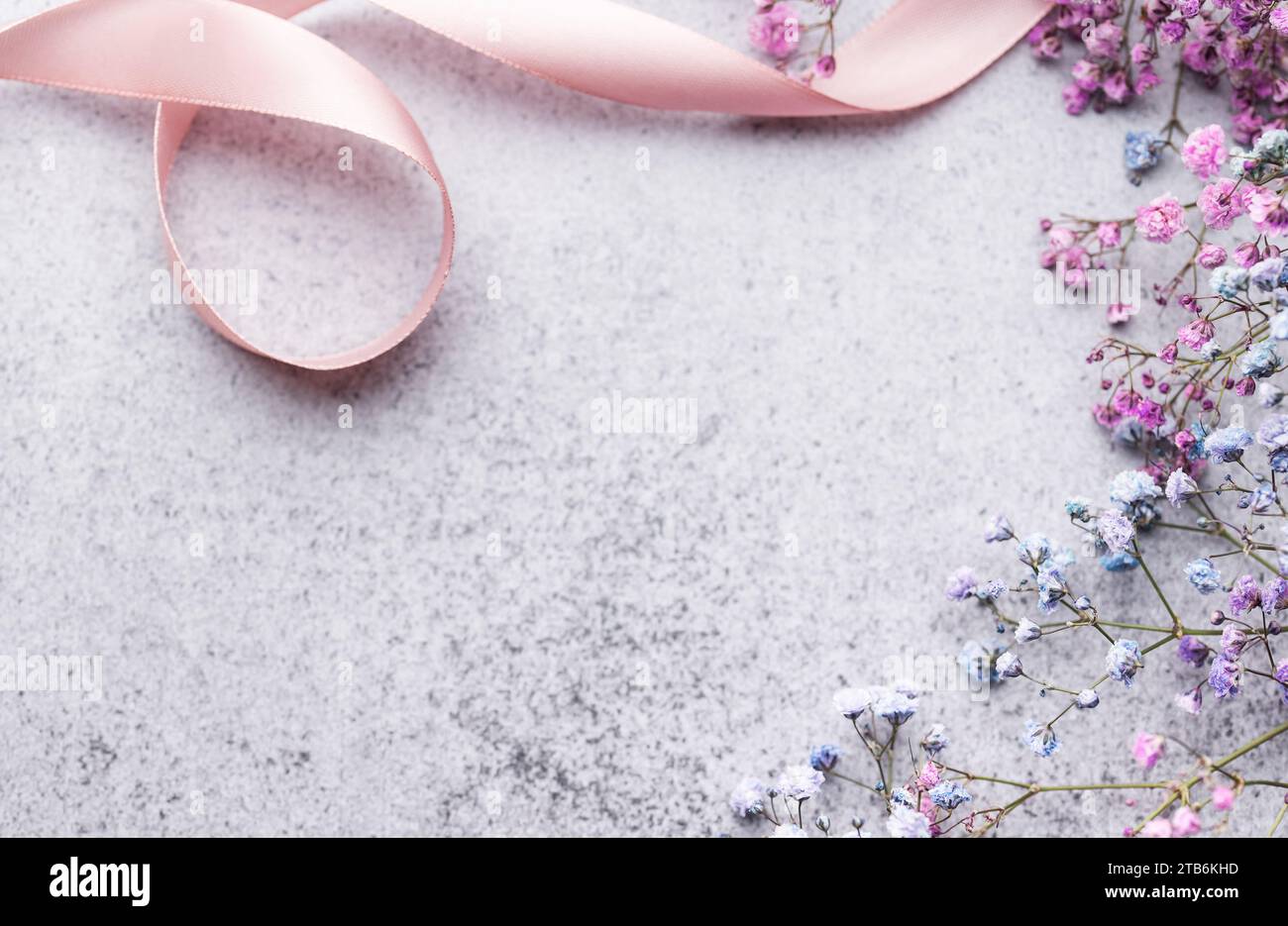 Colored gypsophila flowers on concrete background with copy space. Stock Photo