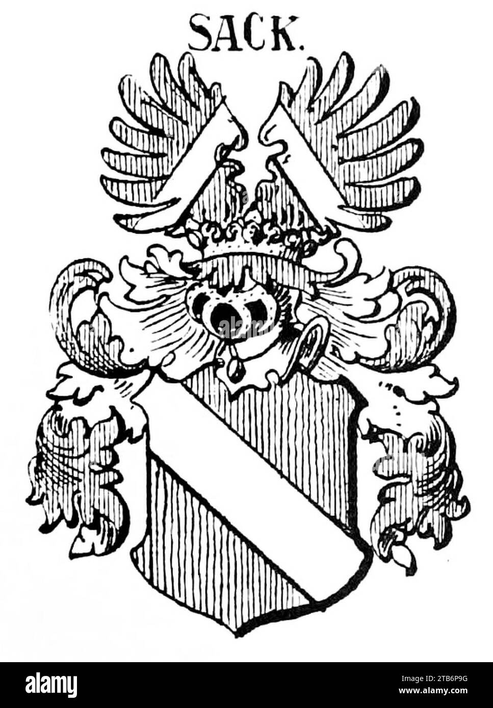 Wappen des vogtländischen Adelsgeschlechts Sack im Neuen Siebmacher Nr. 4 Stock Photo Alamy
