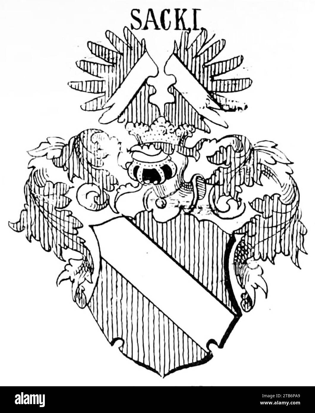 Wappen des vogtländischen Adelsgeschlechts Sack im Neuen Siebmacher Nr. 2 Stock Photo Alamy