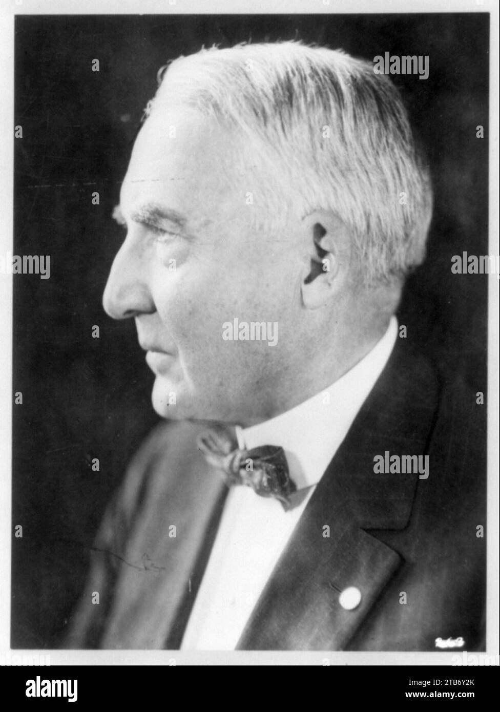Warren g harding portrait hi-res stock photography and images - Alamy