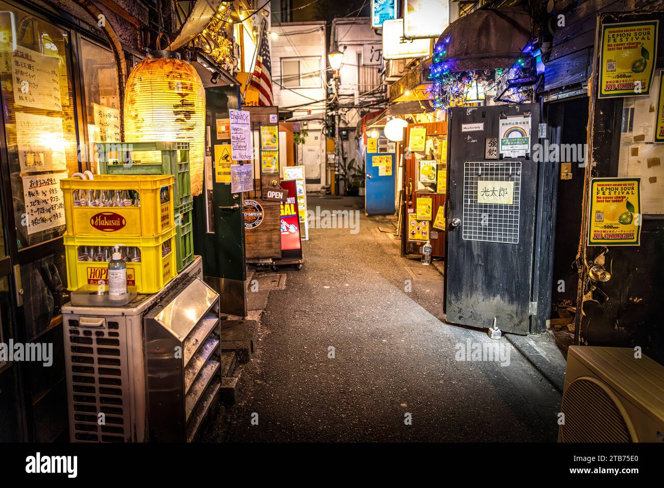 TOKYO/JAPAN - November 19, 2023:nightlife in kabukicho alley,shinjuku . Stock Photo