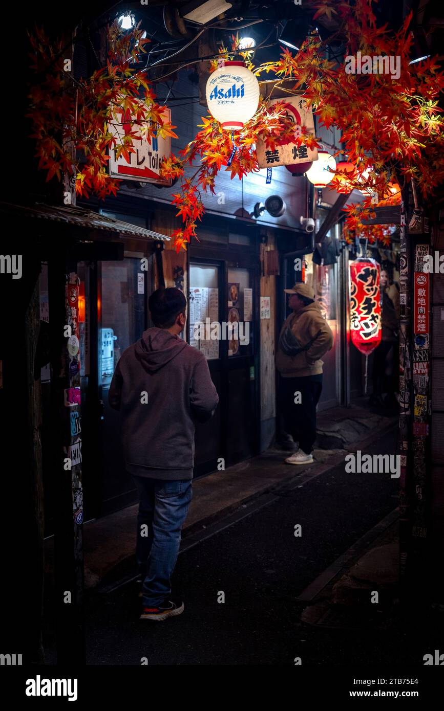 TOKYO/JAPAN - November 19, 2023:nightlife in the Golden Gai alley. Stock Photo