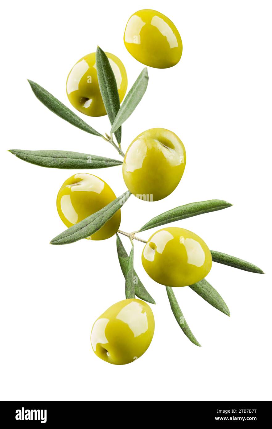 Green olives with branch and leaves, isolated on white background Stock ...