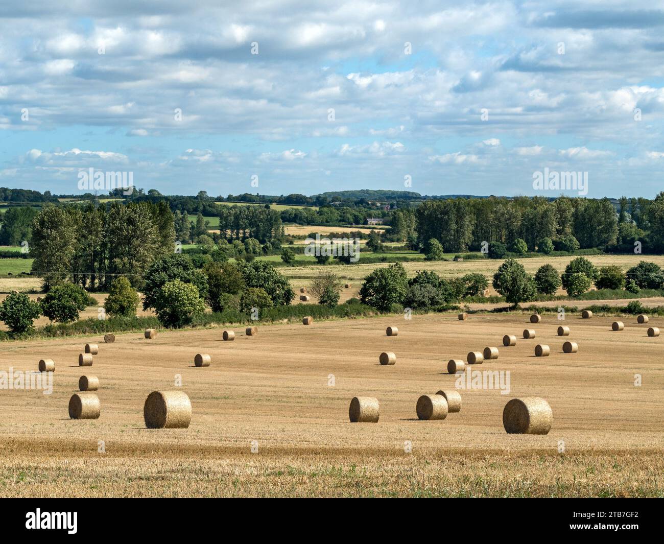 Round straw bales in harvested corn field, Leicestershire, England, UK