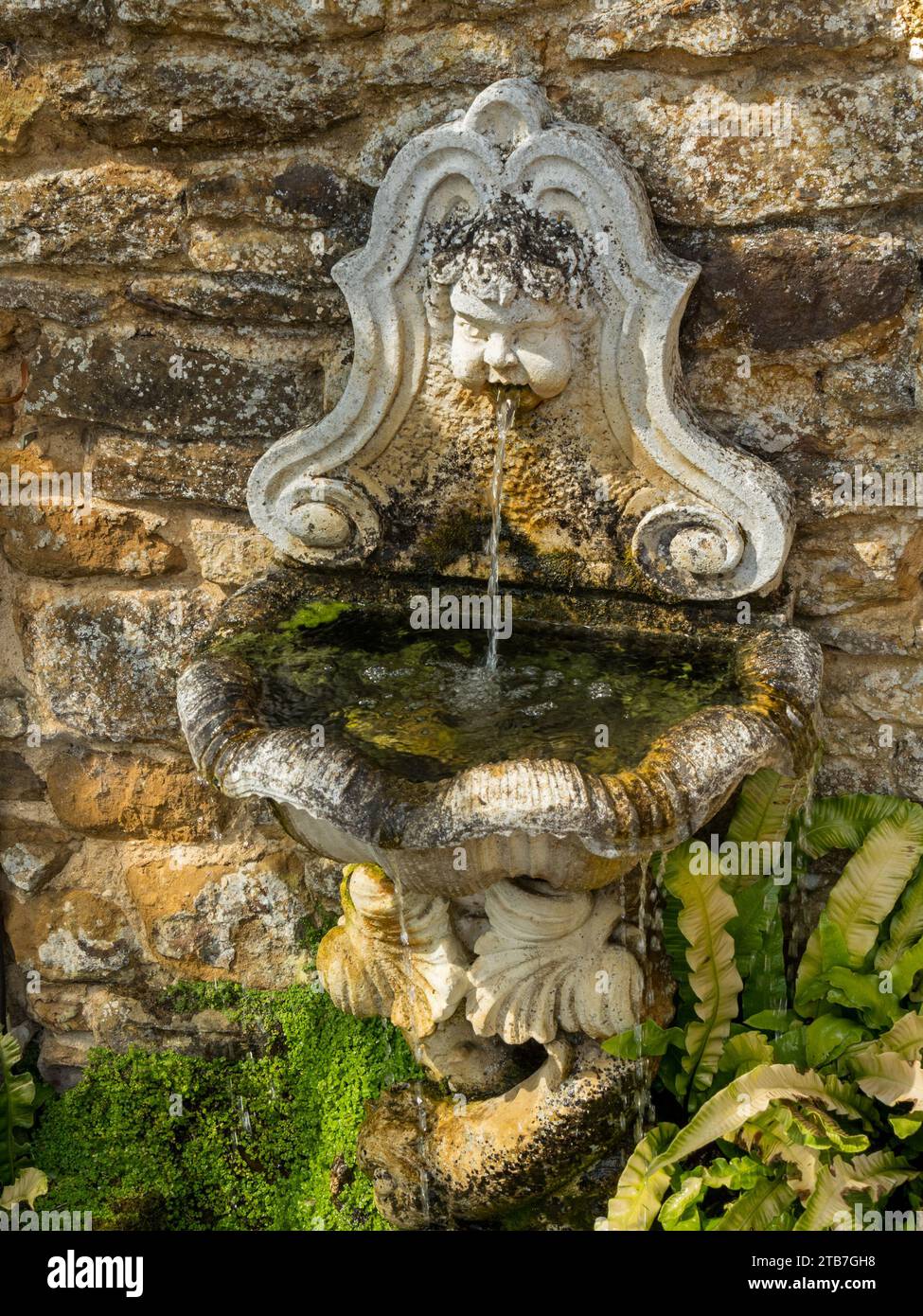 Small wall mounted stone garden water feature / bird bath with water spouting from cherub's mouth. Coton Manor Gardens, Northamptonshire, England, UK Stock Photo