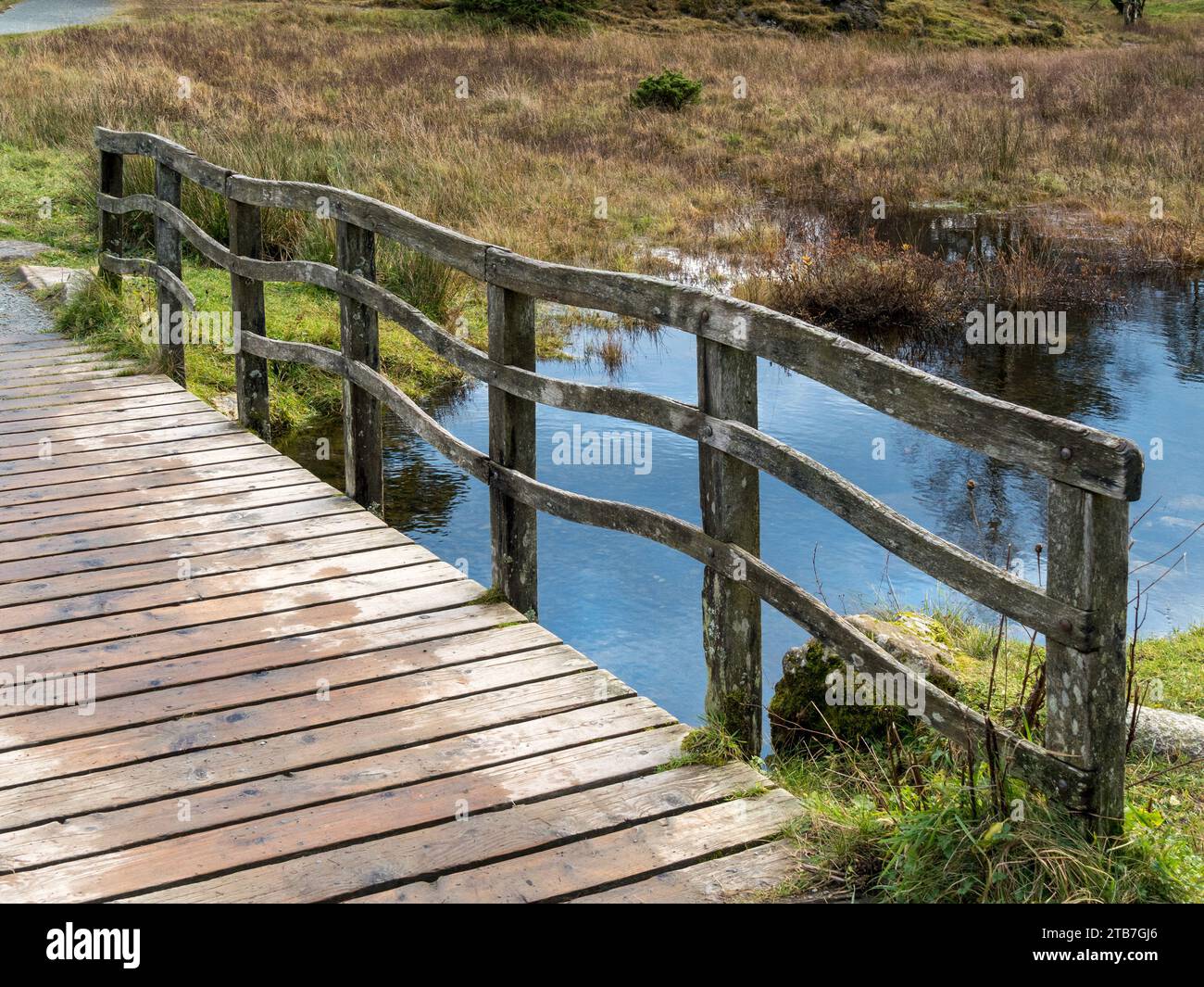 Wide wooden footbridge with wavy curved handrail and matching cross rails on footpath around Tarn Hows, Lake District, Cumbria, England, UK Stock Photo