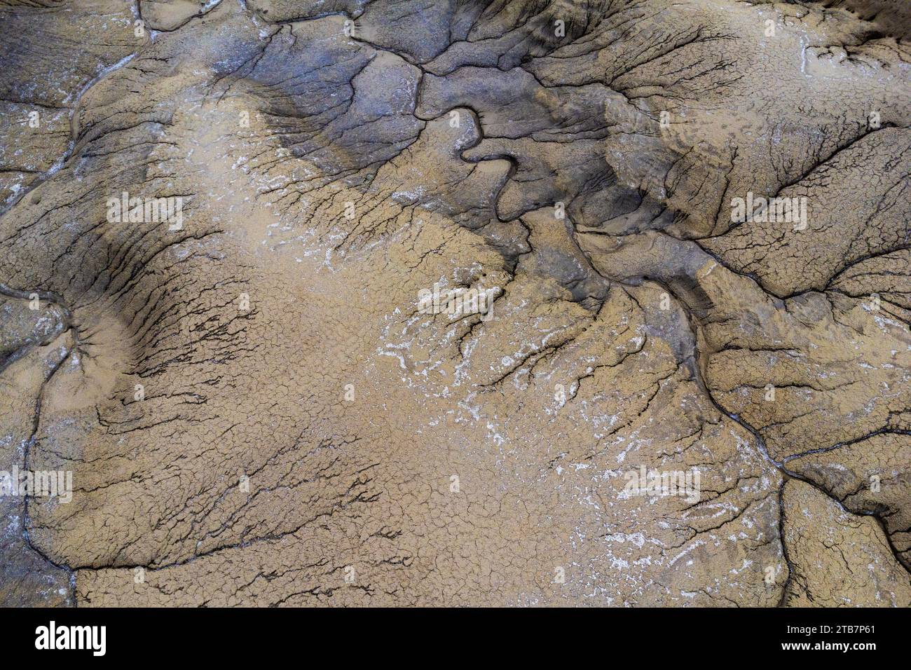A detailed view of a riverbed with clear flowing water revealing ...