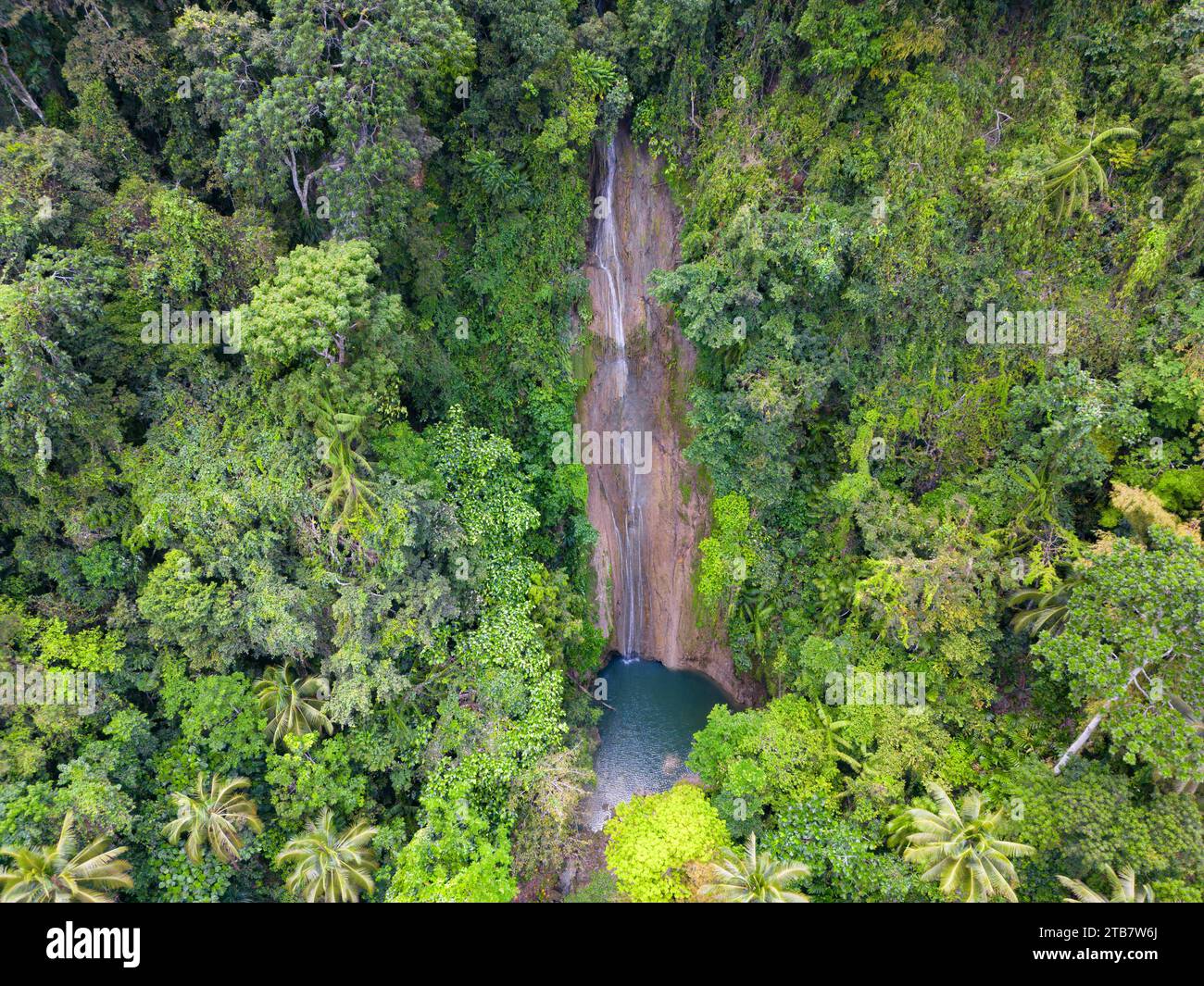 Aerial view of lush tropical rainforest in Cangbangag Falls, Siquijor, Philippines Stock Photo