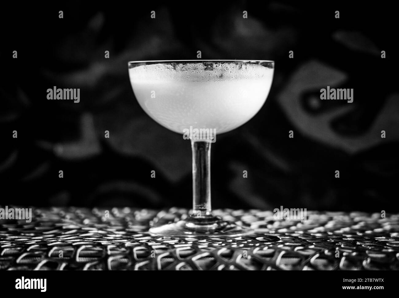 White Lady cocktail in black and white, close up Stock Photo