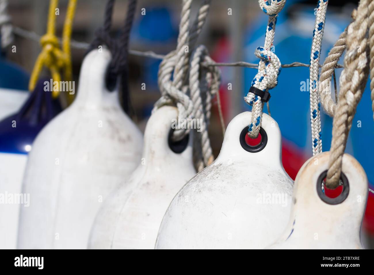 Row Of Plastic Rubber Fenders Tied Up To A Jetty, Dock, Christchurch Harbour UK Stock Photo